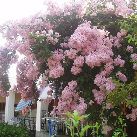 Апартаменты House Evristhenis 1