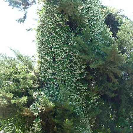 Апартаменты House Evristhenis 1 Торони