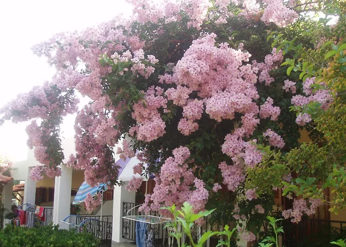 דירה House Evristhenis 1