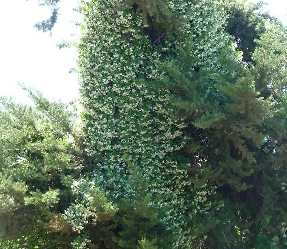 Daire House Evristhenis 1 Toroni